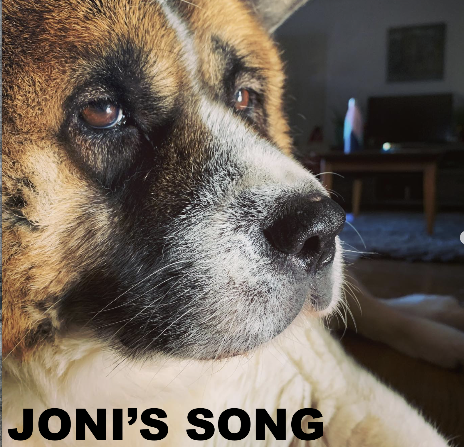 JONI'S SONG (2025 SAFPAW BENEFIT)